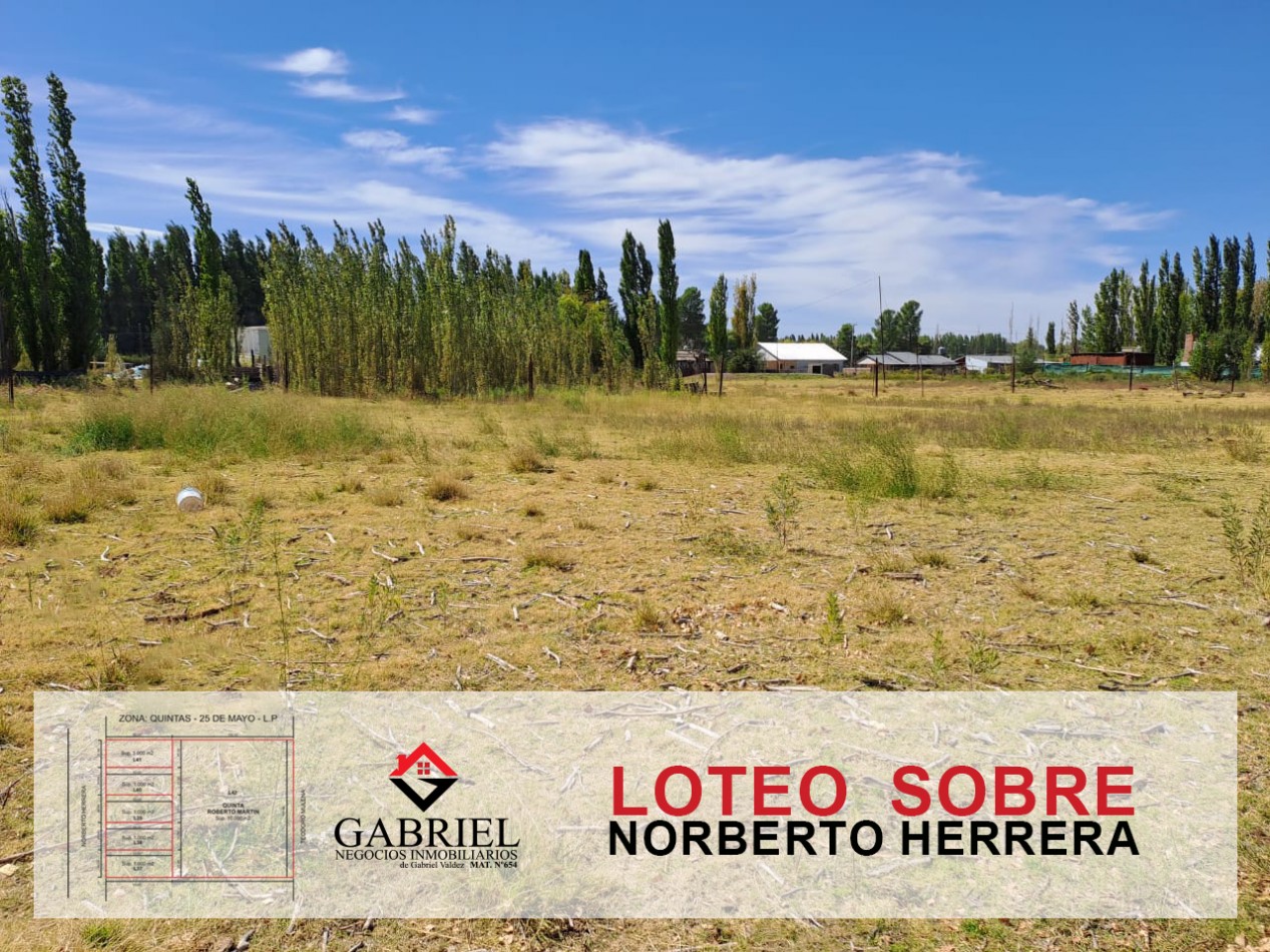 Terreno en Norberto Herrera