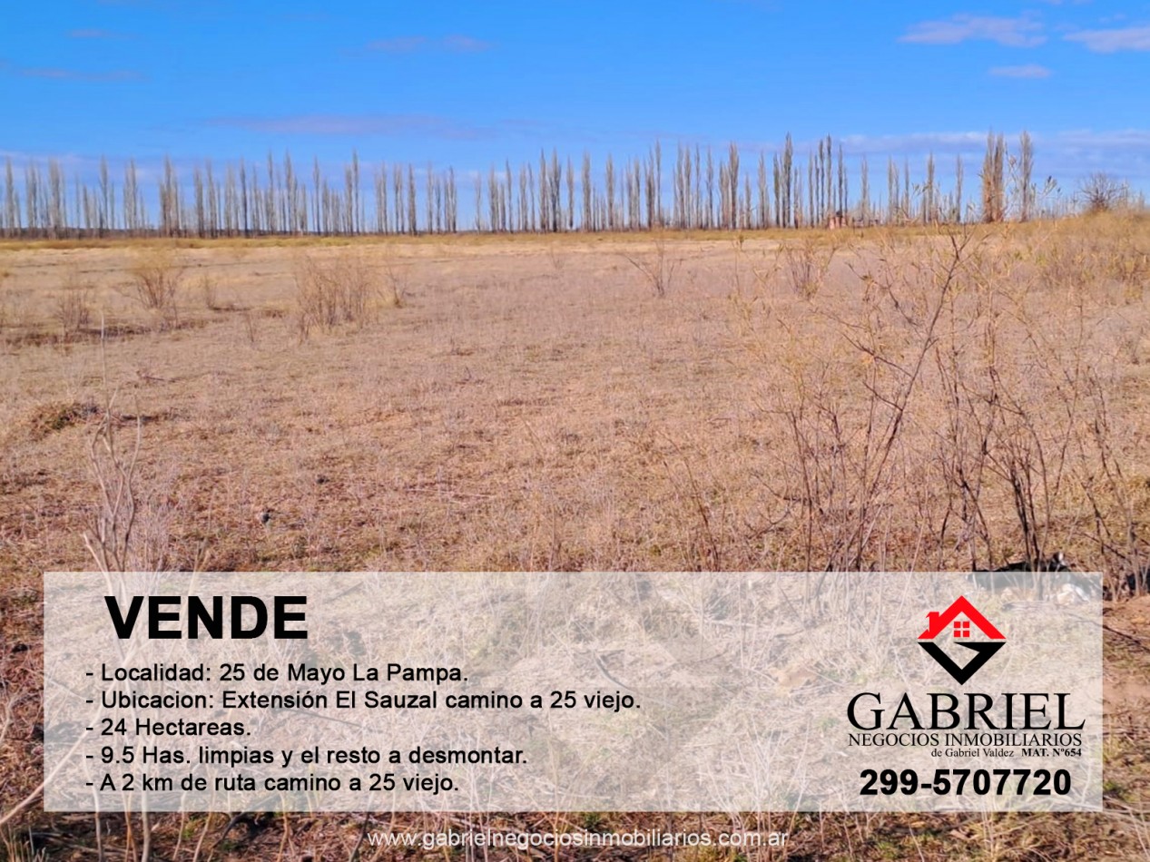 Se VENDE CHACRA de 24 has