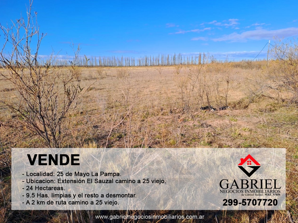 Se VENDE CHACRA de 24 has