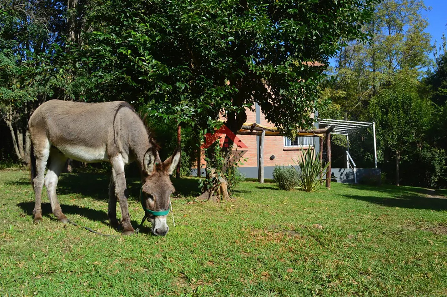 VENDE - 2 duplex en Merlo