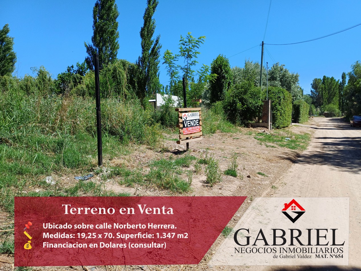 Terreno en venta - Calle Norberto Herrera