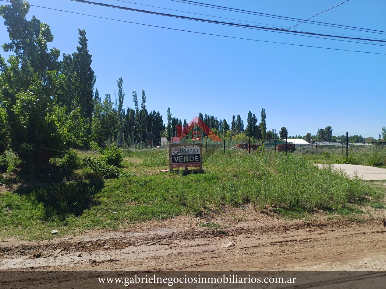 Terreno en Venta sobre Norberto Herrera