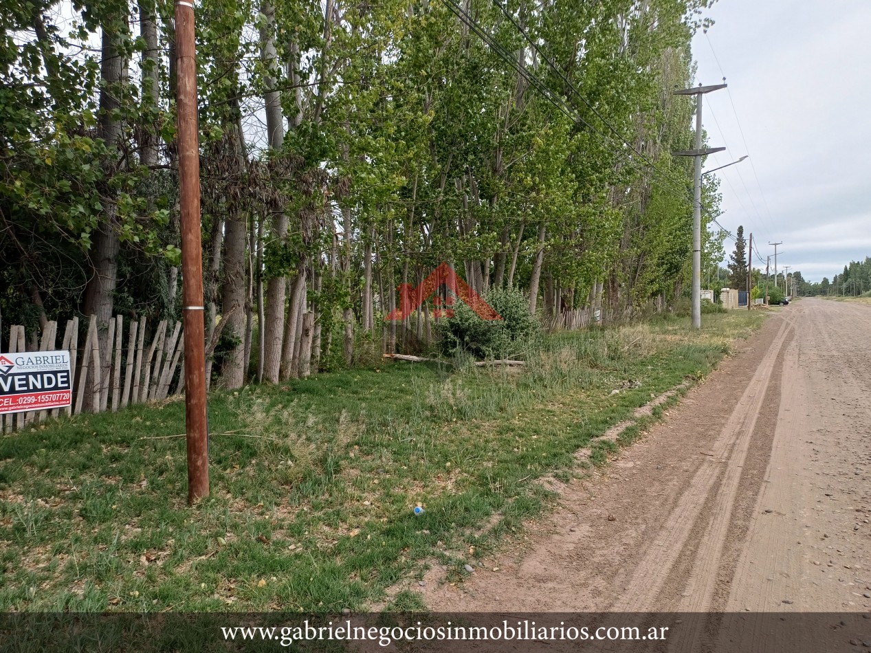 Terrenos en Venta - Zona Quintas