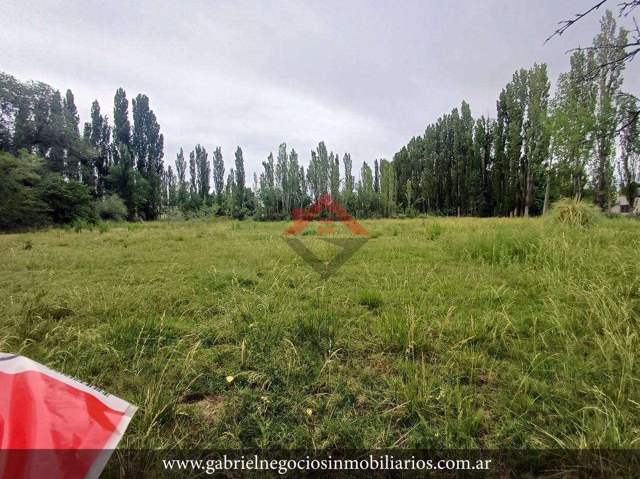 Terrenos en Venta - Zona Quintas