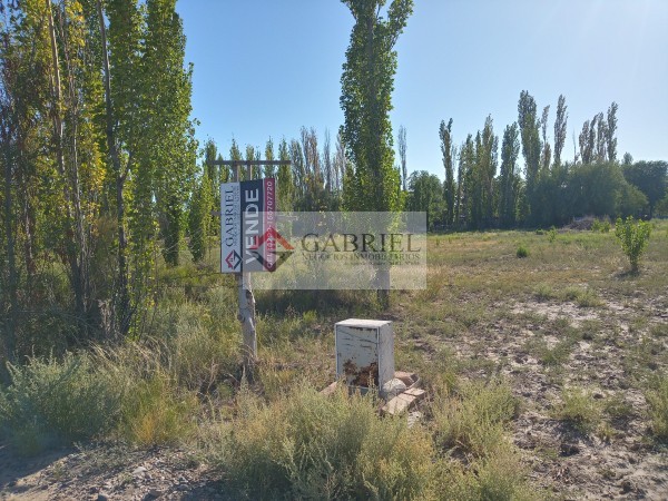 Terreno en Roque Valdez