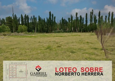 Terreno en Norberto Herrera