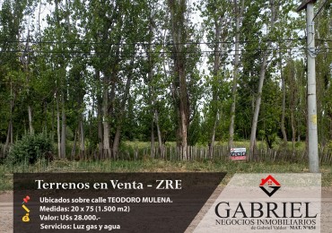 Terrenos en Venta - Zona Quintas